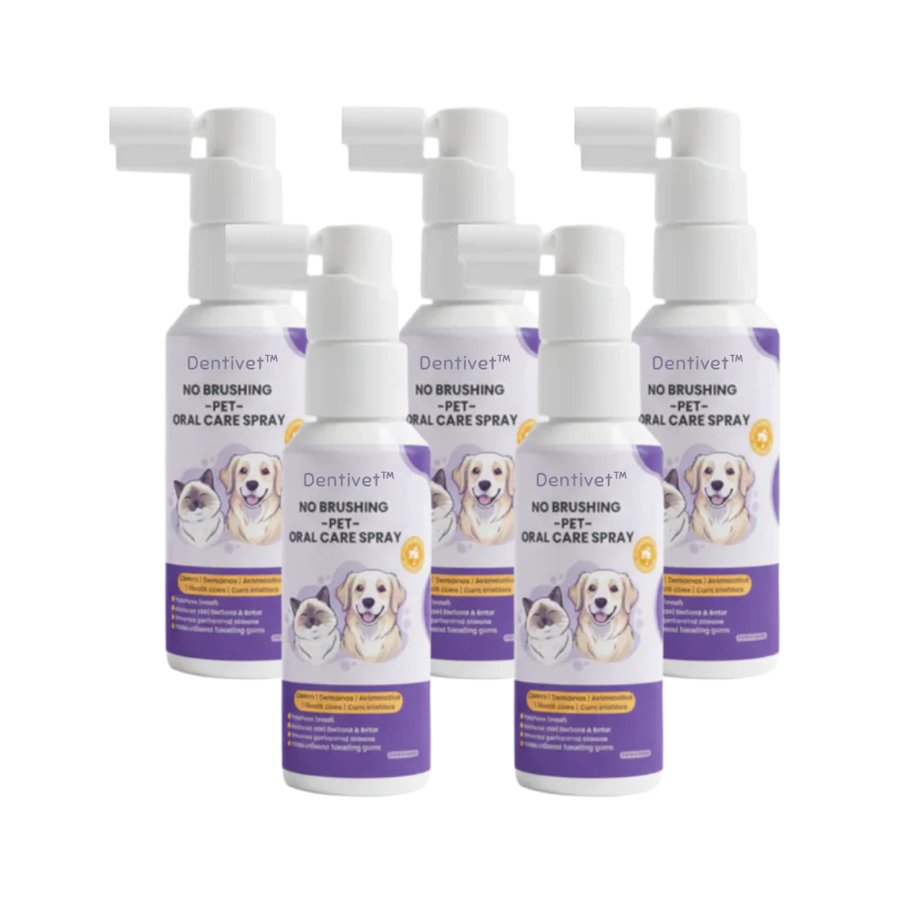 Dentivet™ - Image 4